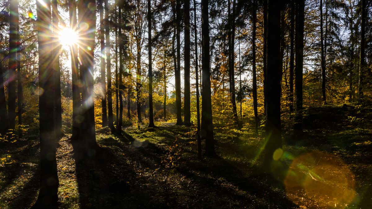 Většina stanic v Česku hlásí teplotní rekordy, bylo naměřeno až 16,4ºC